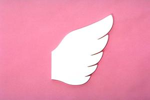 大阪のペット火葬の対応について