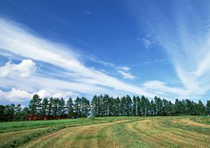 愛知県でお墓を建てることになったら