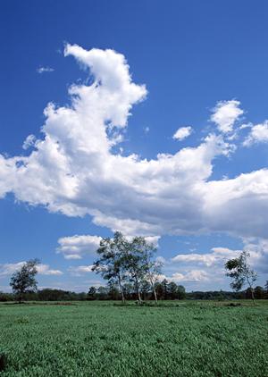 静岡市清水区に新規オープン！家族葬のタクセル上原：安心と低価格を実現した家族葬専門斎場
