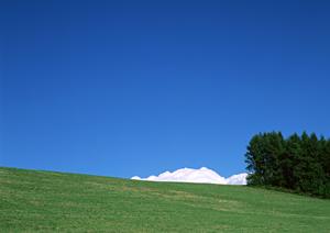 堺からも通えるきれいに整った霊園