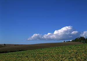 静岡県浜松市に新規オープン！家族葬専門の葬儀場「家族葬のタクセル葵西」の特徴と詳細情報
