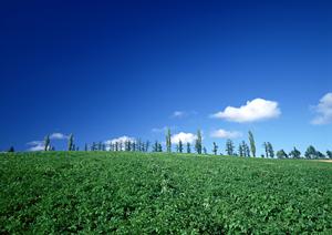 川越で安く家族葬を執り行いたいなら
