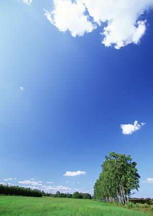 403 Forbiddenエラーに関する完全ガイド：原因と対処法を詳しく解説