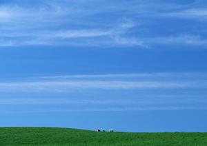 【公式】さがみ典礼 中戸祭｜宇都宮市にある信頼の葬儀場と充実したサービス内容