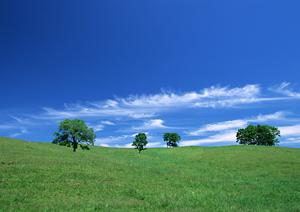 静岡県藤枝市の安心葬儀を実現する富士葬祭 藤枝城南の魅力と特徴