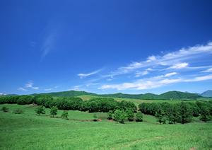 文字として残るエンディングノート