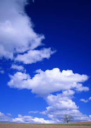 静岡県浜松市中央区の家族葬を中心とした葬儀場「家族葬のタクセル住吉」| 低価格・充実の施設と多様なプランを提供