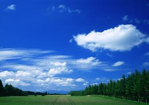 東京での納骨堂選び完全ガイド：安心して故人を供養するためのポイントとは