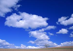 30分で行ける奈良県橿原市の優良な霊園