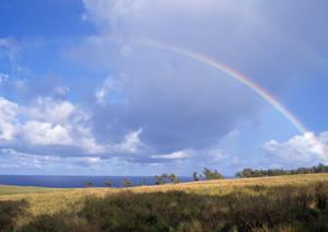 将来の不安を取り除く葬儀の生前相談