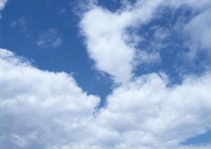 仏壇クリーニングは専門店にお任せ