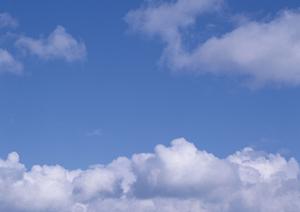 正しい方法で葬儀業者を選びましょう