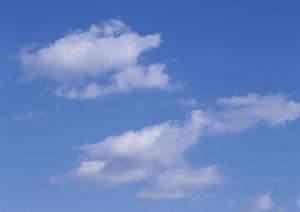 最近の東京の納骨堂事情について