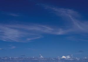 家族専用のお墓を使う京都の樹木葬