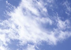 仙台の周辺で自然葬ができる寺院