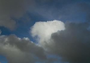千葉県でおすすめの樹木葬について