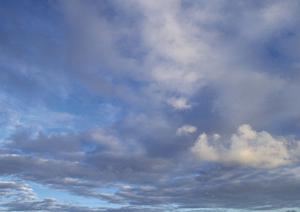 先駆的な散骨のサービスをします