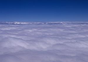 お墓に関する業務を請け負う石材店