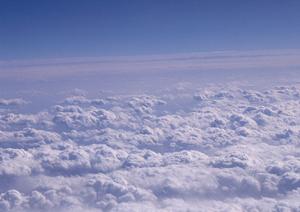 ペット葬儀を行っている会社である