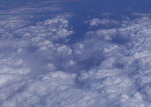 東京都内の墓地へ改葬・移転をお考えの方